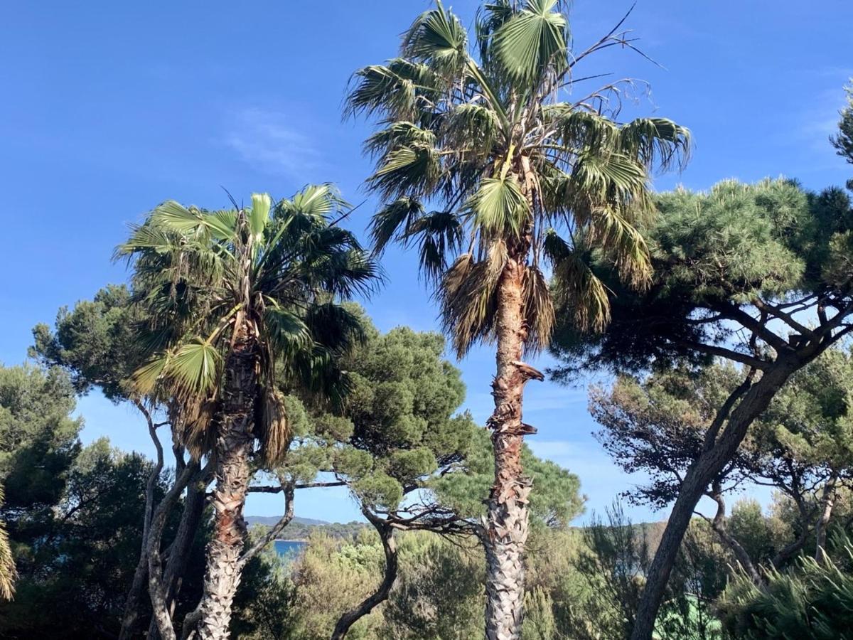 Bergerie Plage Renove Clim Balneo Plage Piscine Jardin Mediterraneen Hyères Exterior foto
